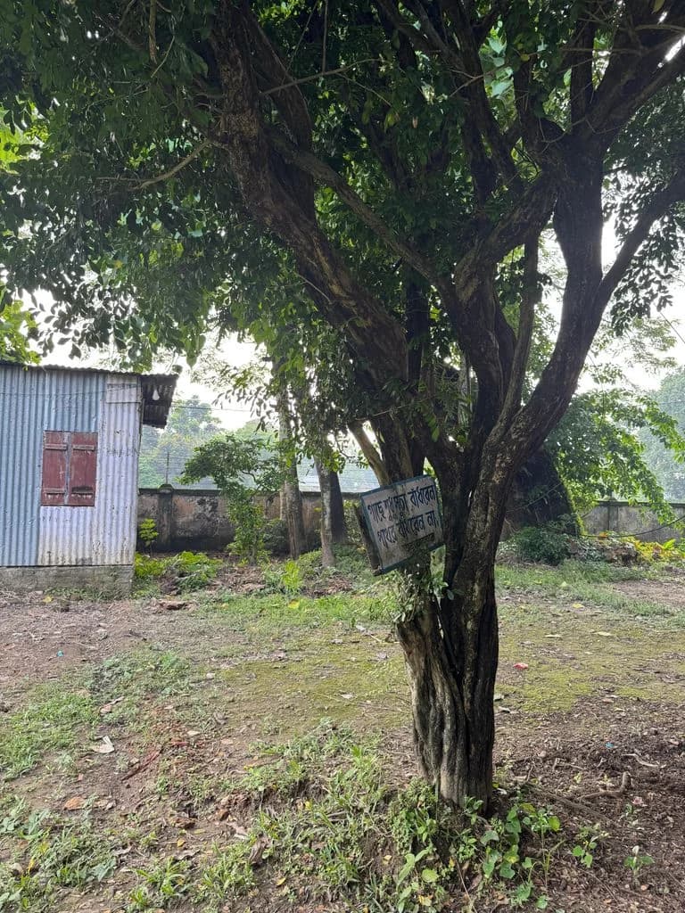 cooch_behar_siddheshwari_2.jpg