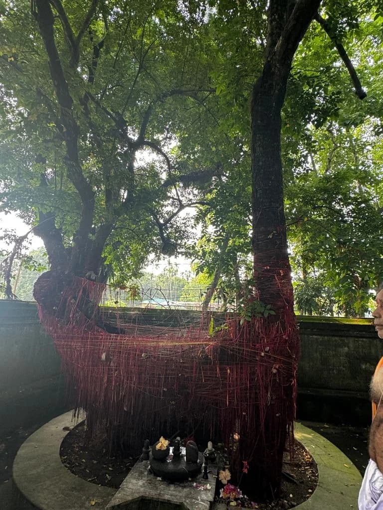 cooch_behar_siddheshwari_4.jpg