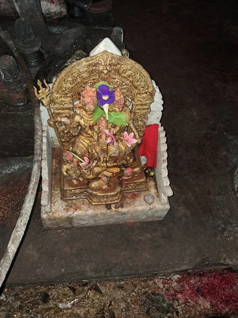 dergaon_shiva_doul_8.jpg