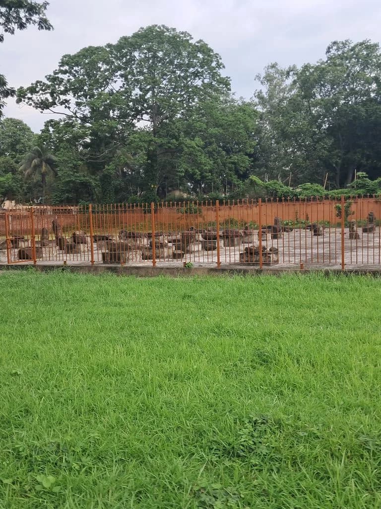 dimapur_kachari_fort_10.jpg