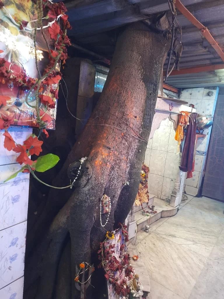 howrah_hanuma_mandir_2.jpg
