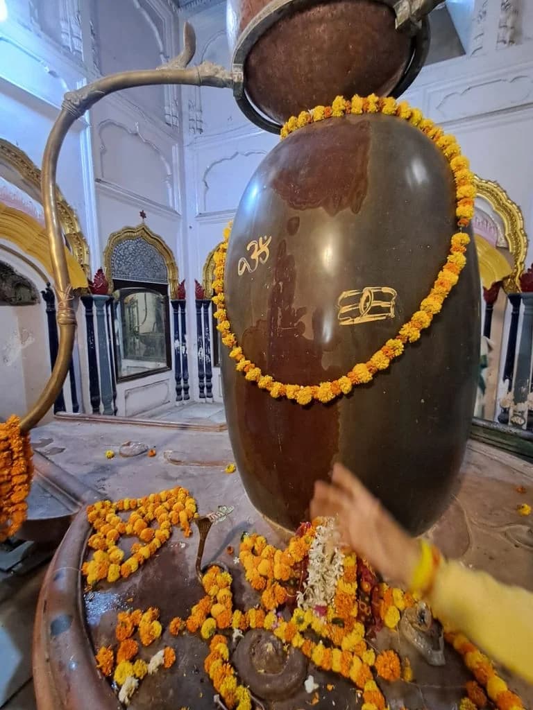 jammu_raghunath_mandir_9.jpg