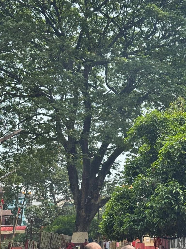 kamakhya_mandir_12.jpg