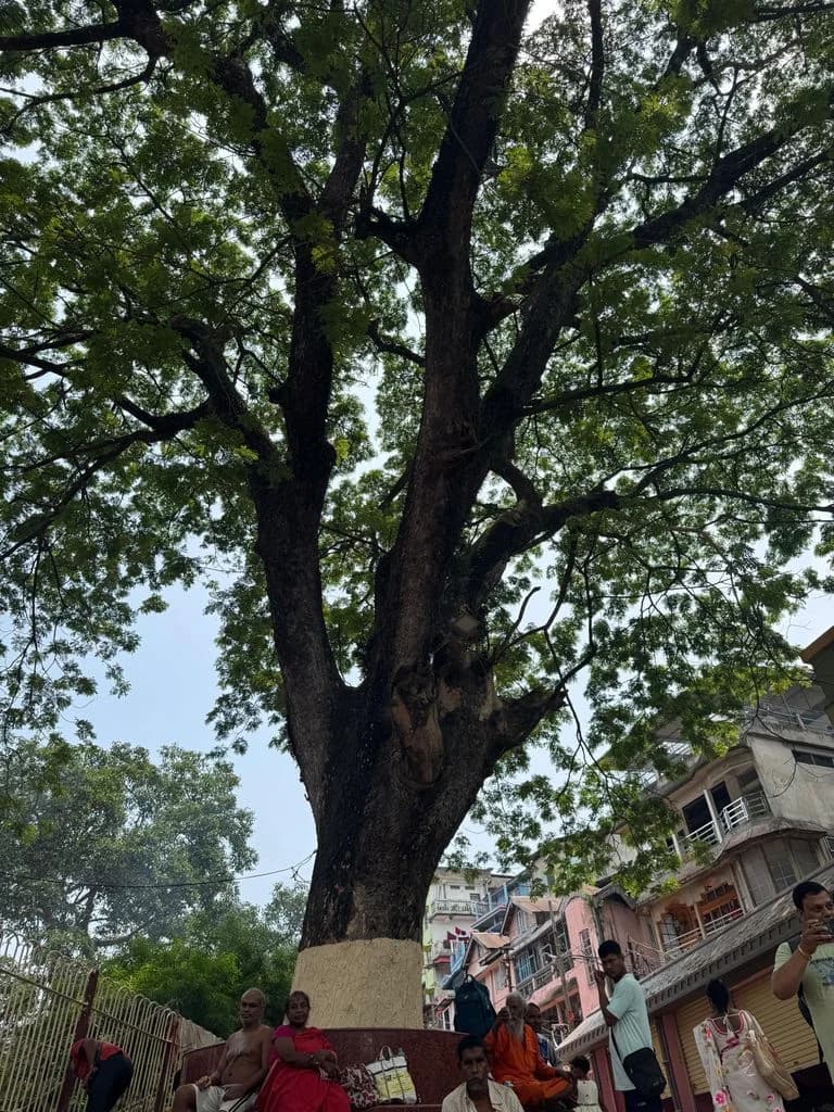 kamakhya_mandir_20.jpg