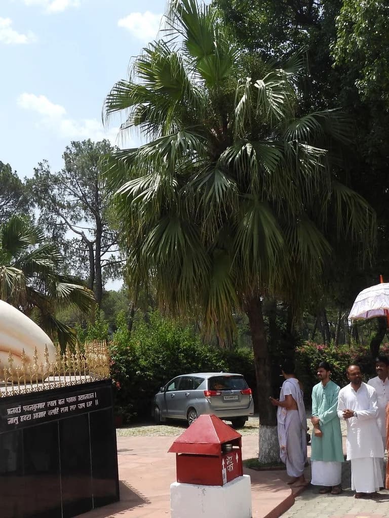Chinmaya Tapovan - Kangra