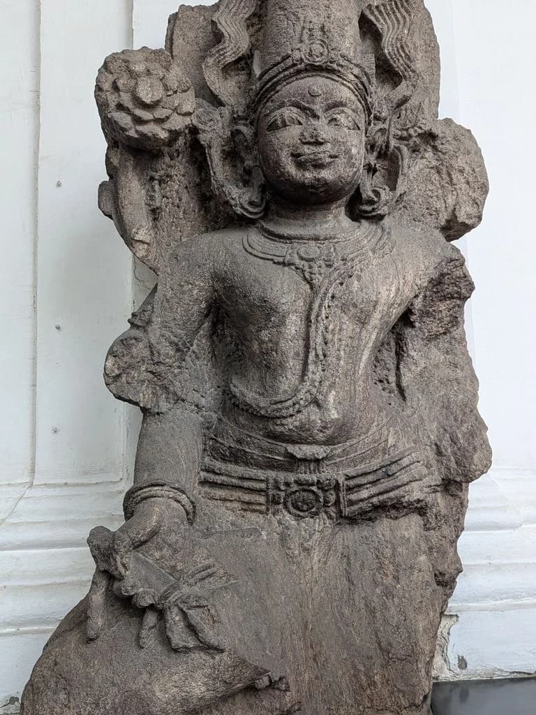 kolkata_indian_museum_10.jpg