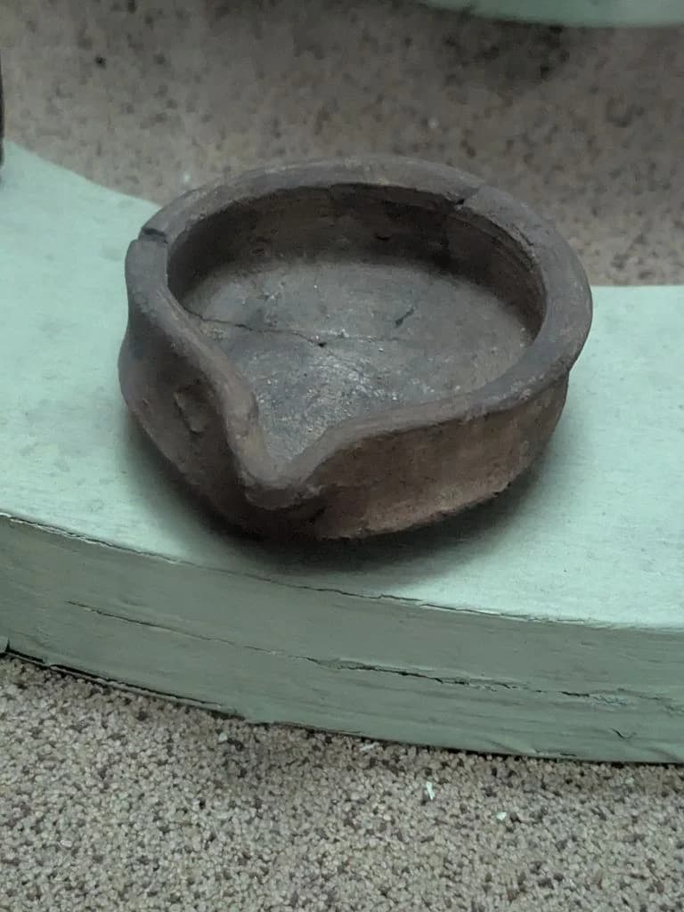 kolkata_indian_museum_5.jpg
