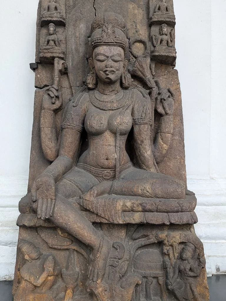 kolkata_indian_museum_8.jpg