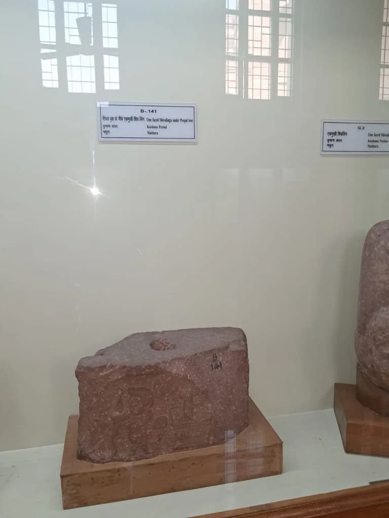 lucknow_state_museum_5.jpg
