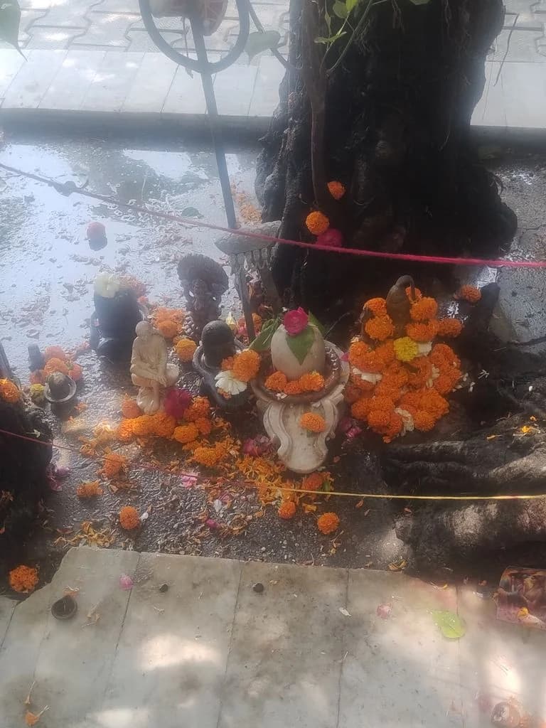 ludhiana_durga_mata_mandir_5.jpg