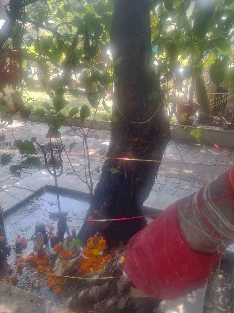 ludhiana_durga_mata_mandir_7.jpg