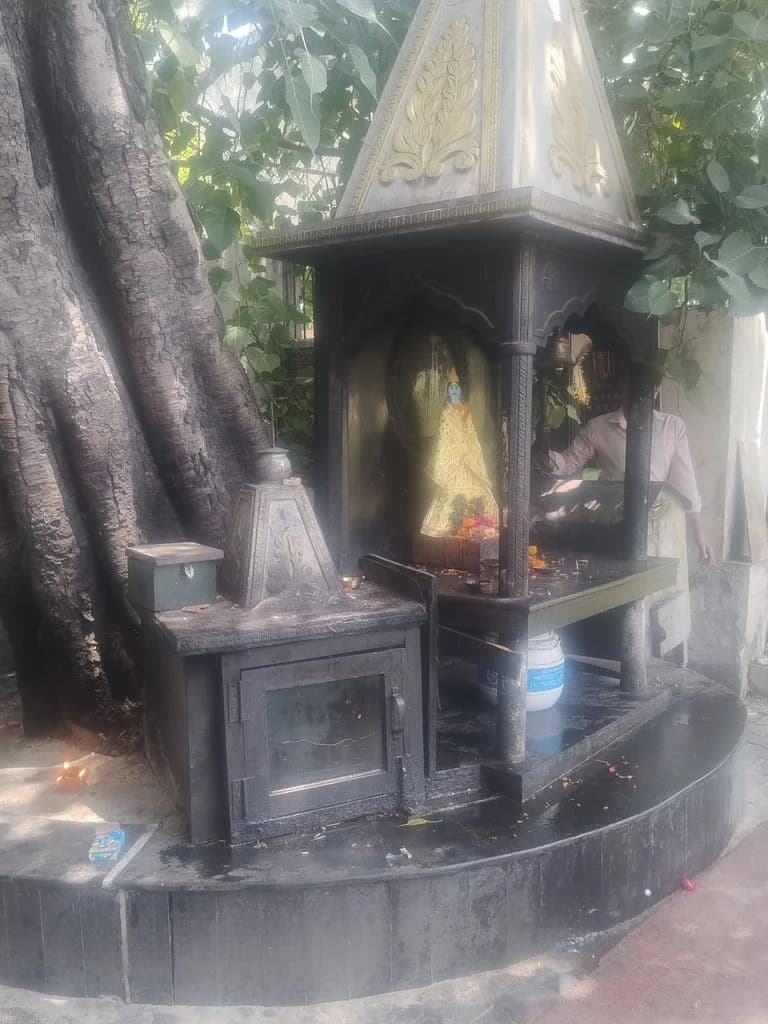 ludhiana_durga_mata_mandir_8.jpg