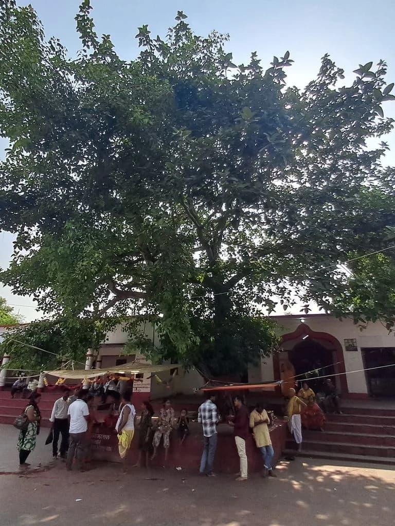 mahishmati-ugratara-mandir_7.jpg