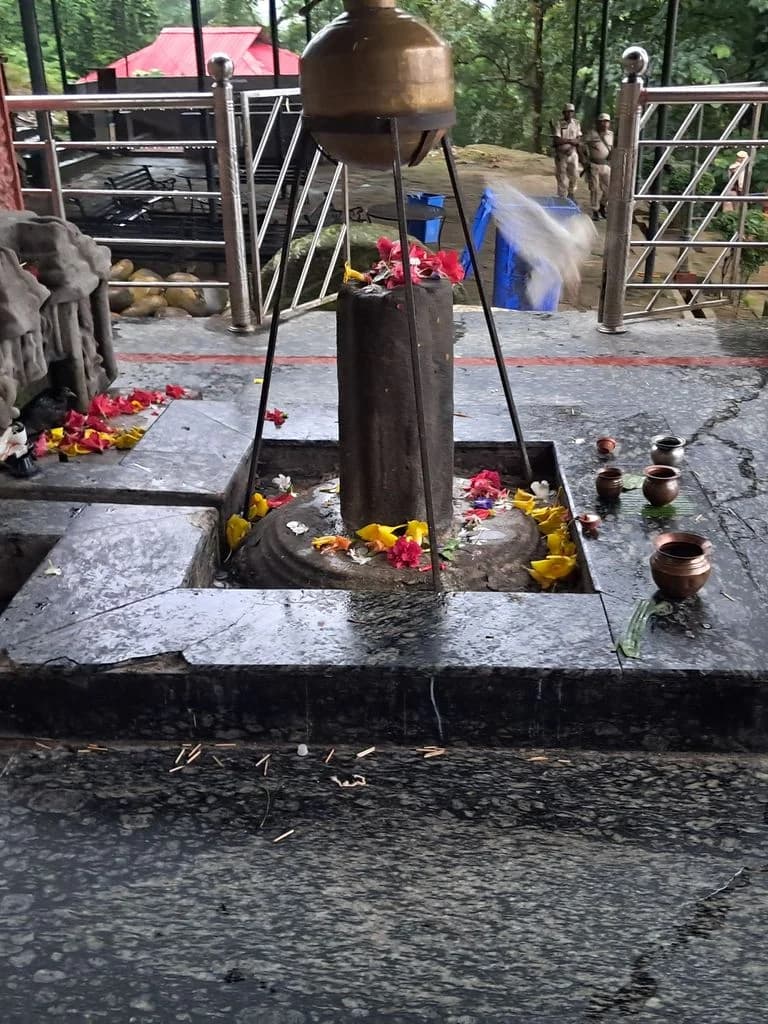 malinithan_mandir_12.jpg