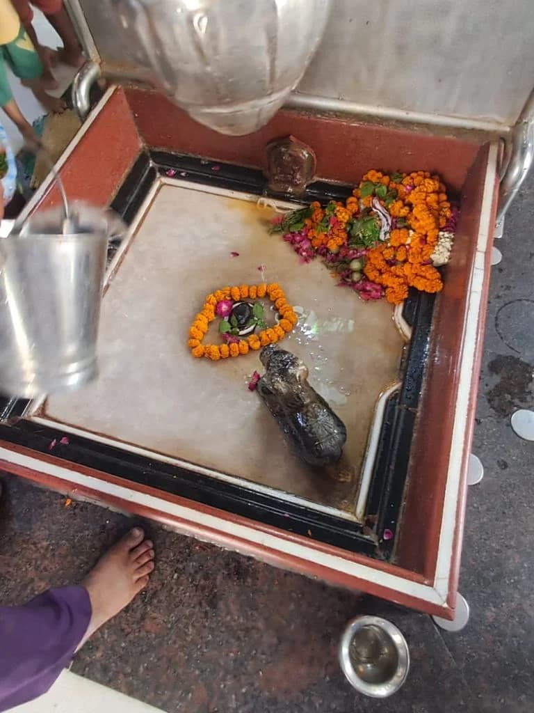 meerut_aughanath_mandir_7.jpg