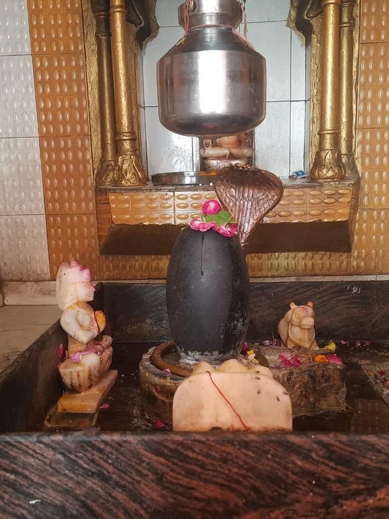 meerut_mansa_devi_mandir_20.jpg