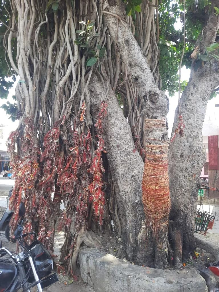 meerut_mansa_devi_mandir_5.jpg