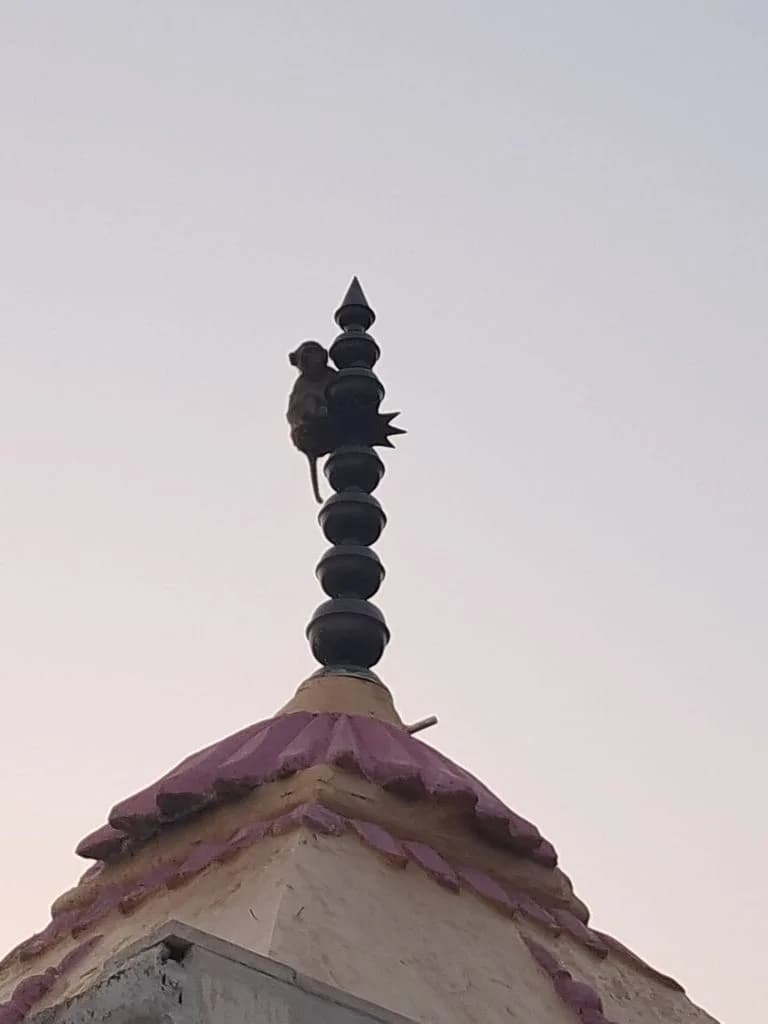 paniwala_adi_badri_5.jpg