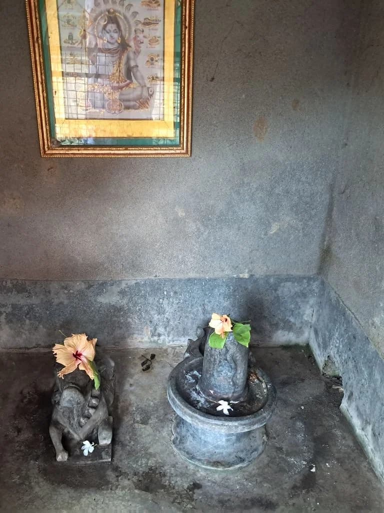 parulia_kali_mandir_13.jpg