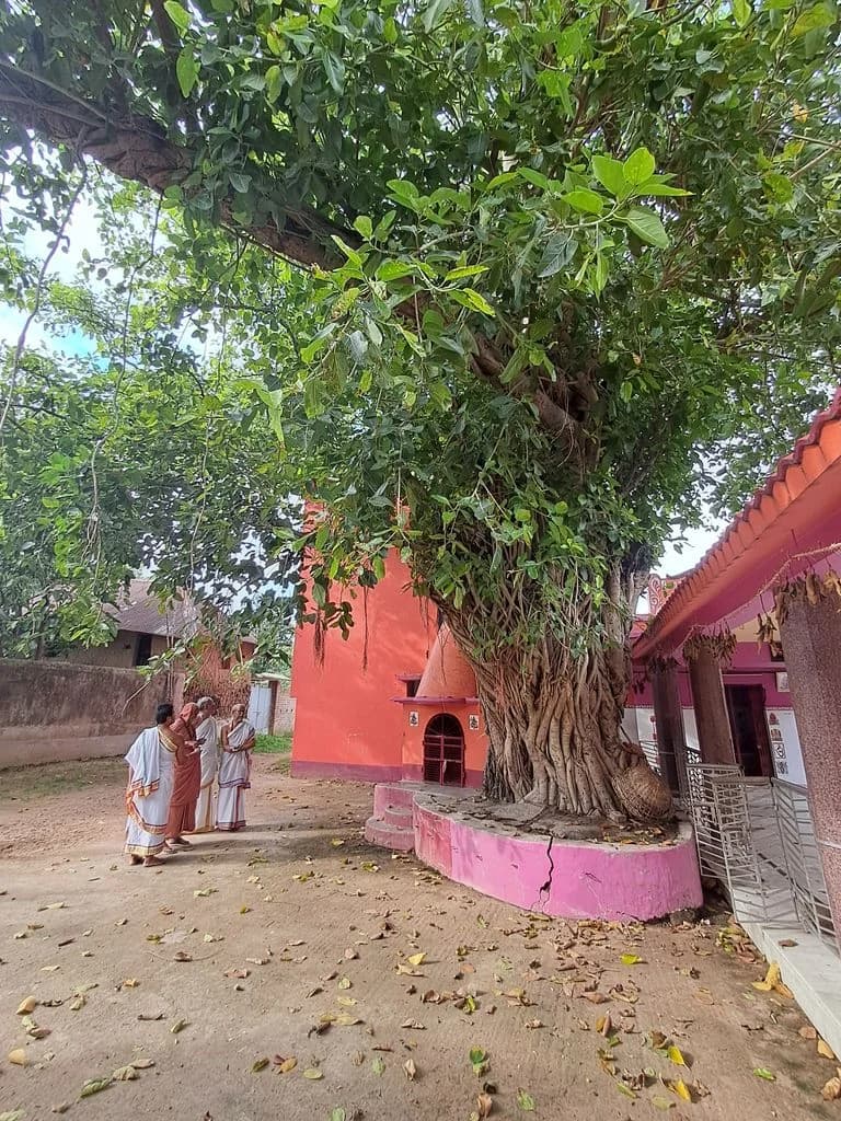 parulia_kali_mandir_14.jpg