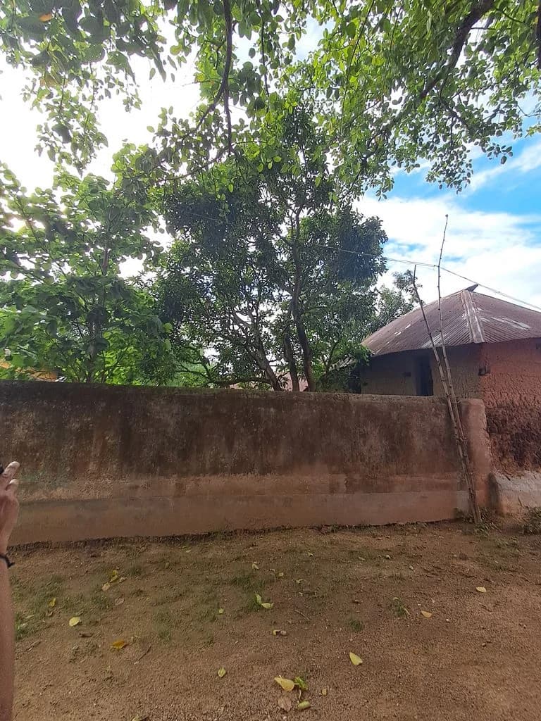 parulia_kali_mandir_15.jpg