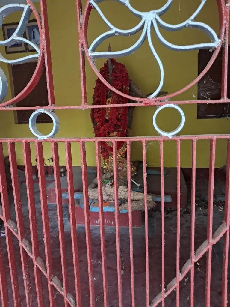 parulia_kali_mandir_3.jpg
