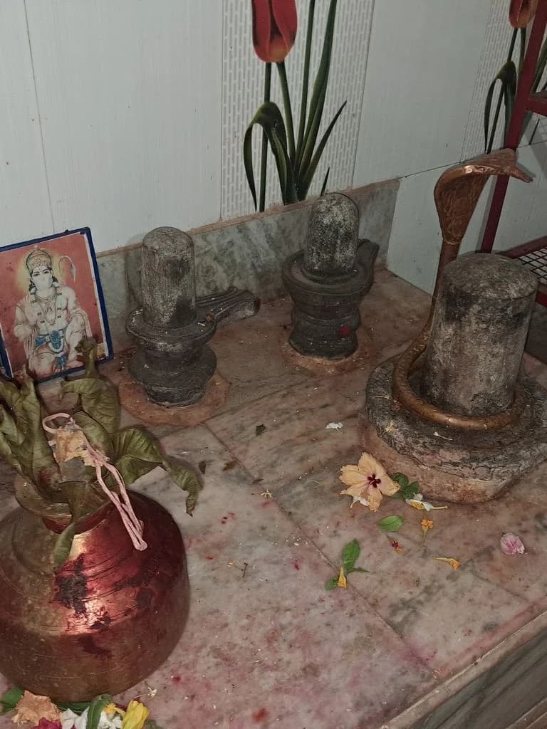 parulia_kali_mandir_9.jpg
