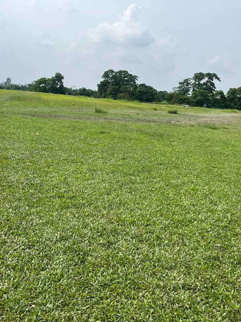 siliguri_gosanimari_mounds_4.jpg