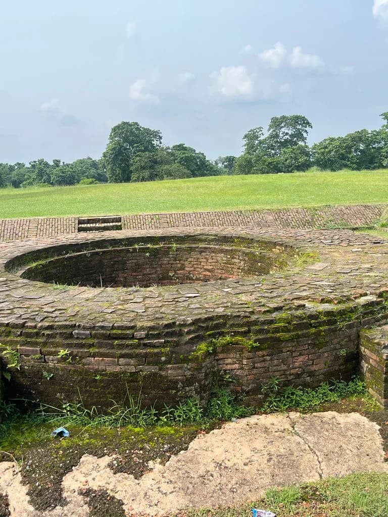 siliguri_gosanimari_mounds_6.jpg
