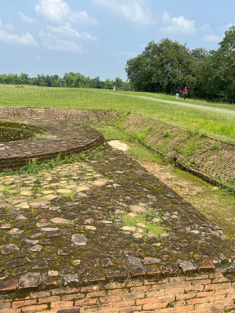 siliguri_gosanimari_mounds_7.jpg
