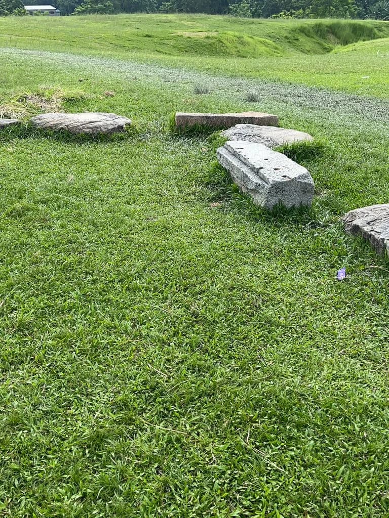 siliguri_gosanimari_mounds_8.jpg