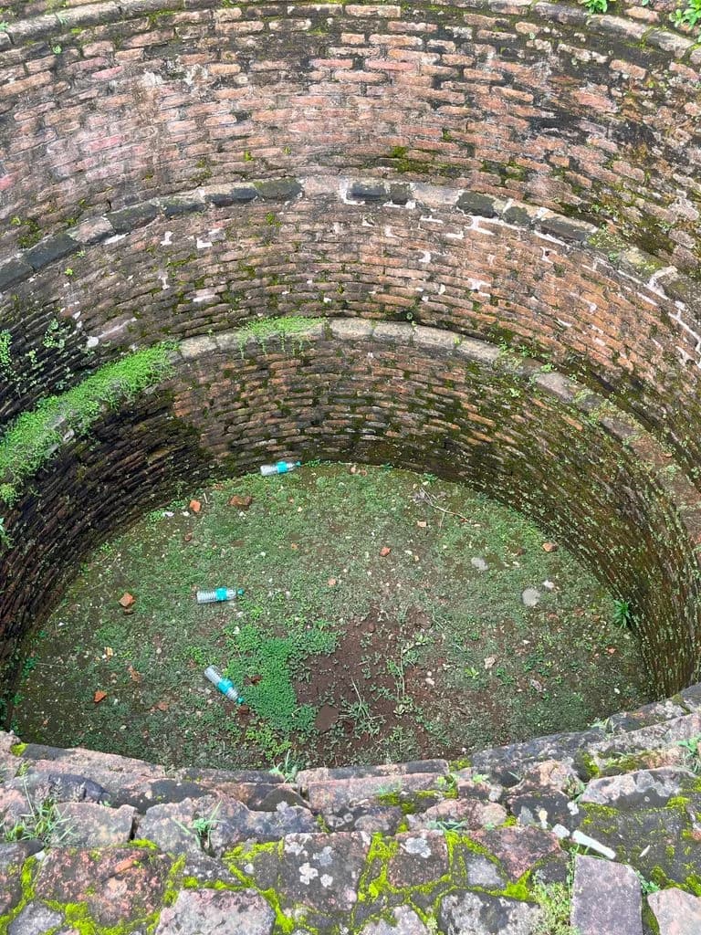 siliguri_gosanimari_mounds_9.jpg