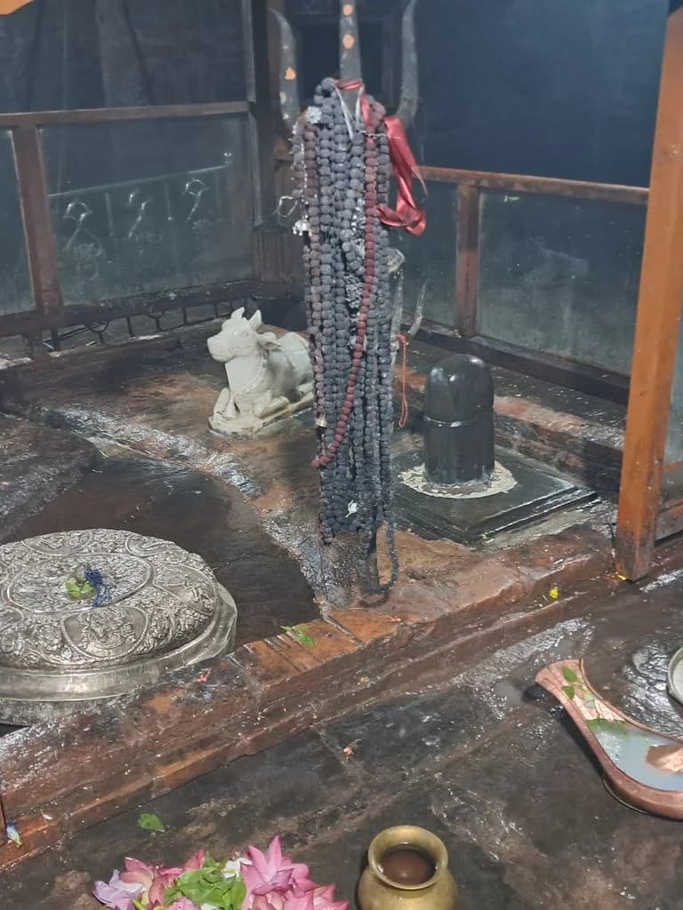sivasagar_siva_dol_mandir_17.jpg