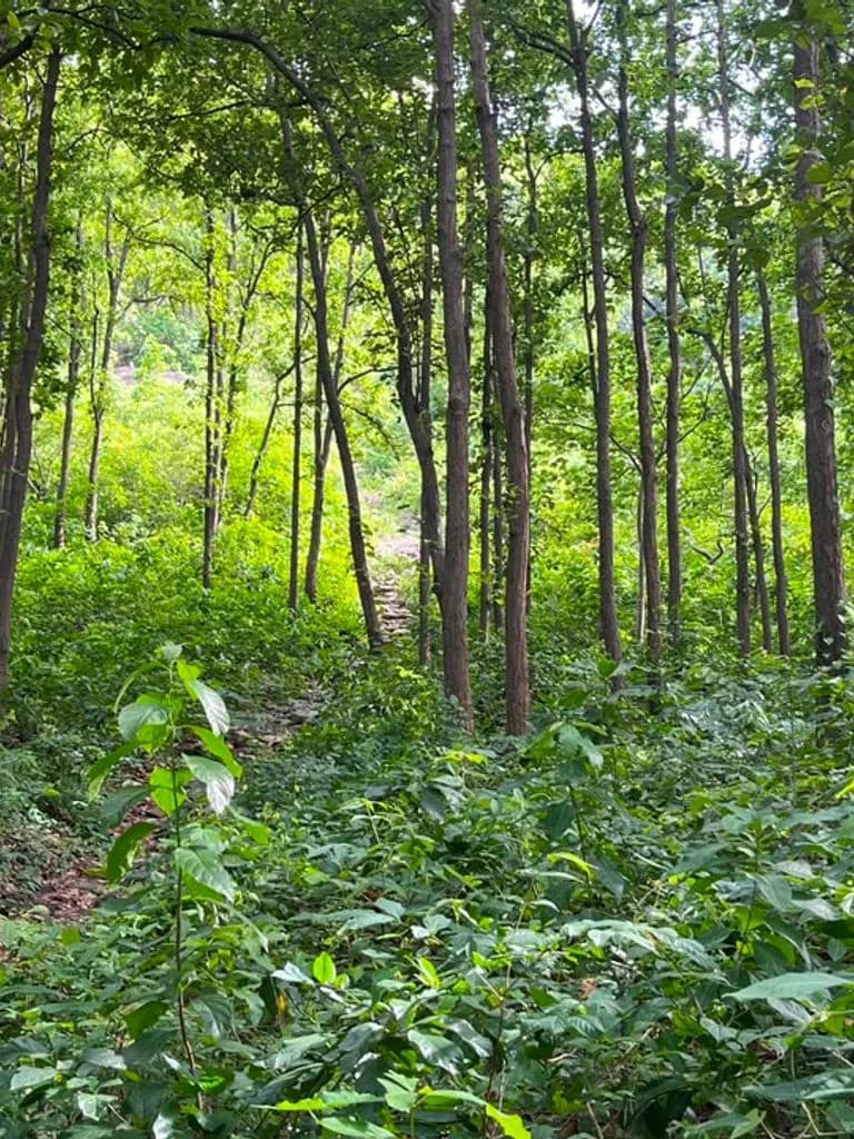 susunia_hill_temple_2.jpg