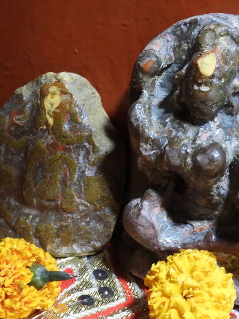 tanot_mata_mandir_8.jpg
