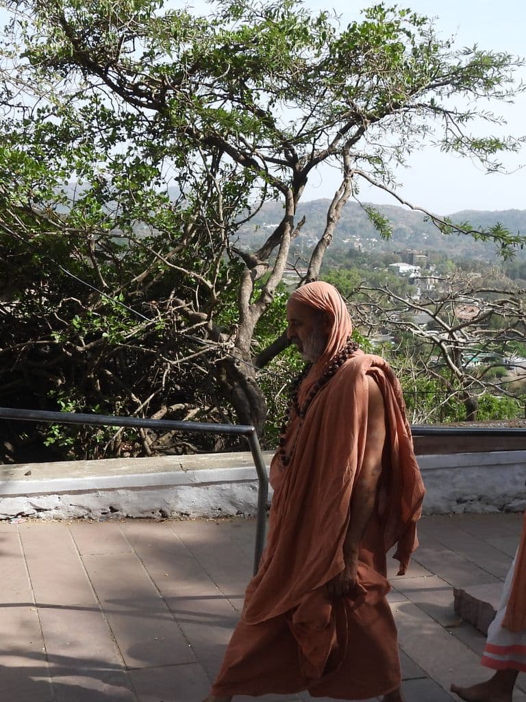 abu_kathyayini_arbhudha_devi_10.jpg