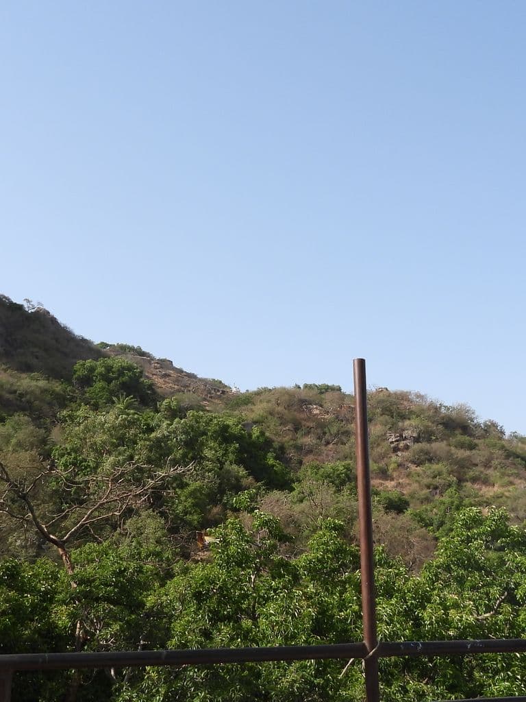 abu_kathyayini_arbhudha_devi_13.jpg