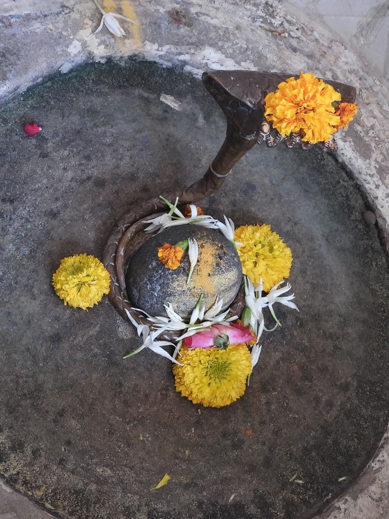 Adi Shankaracharya Math Bharuch