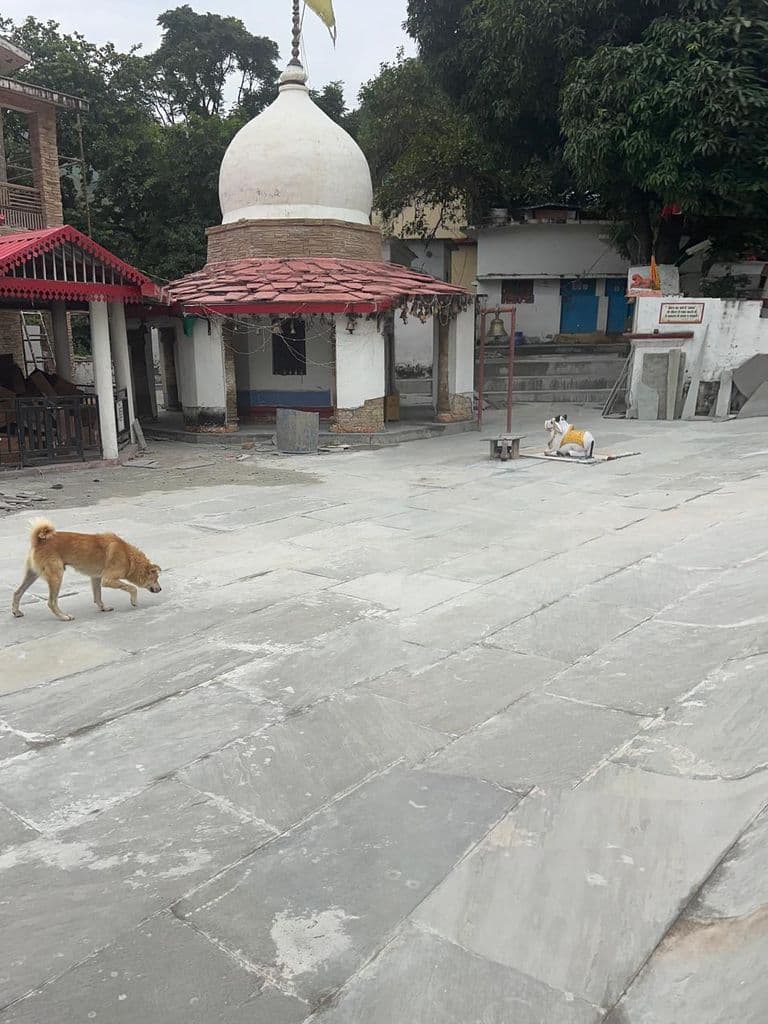 almora_kakdi_ghat_11.jpg