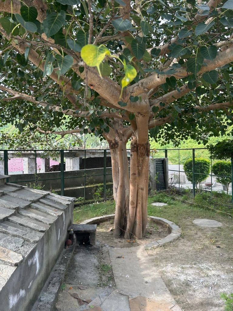 almora_kakdi_ghat_29.jpg