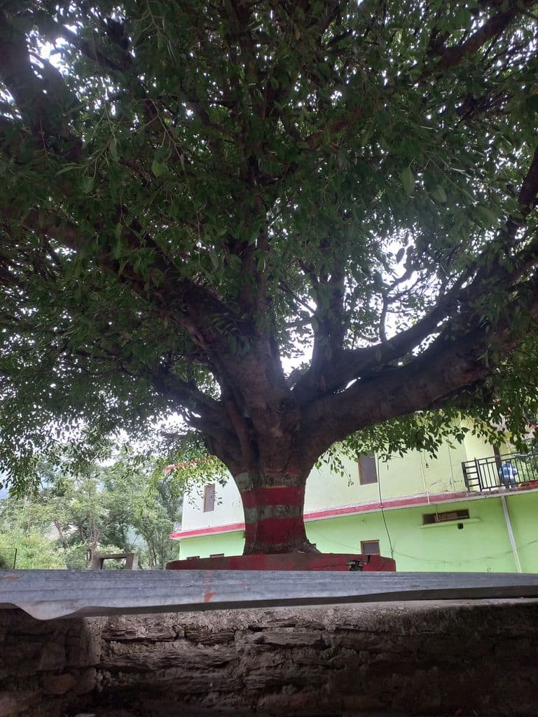 almora_kakdi_ghat_9.jpg