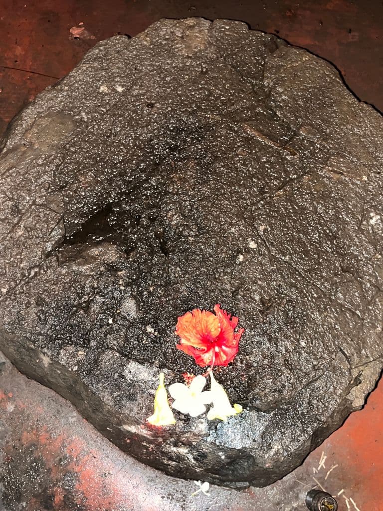 badaribadi_maha_maya_mandir_10.jpg