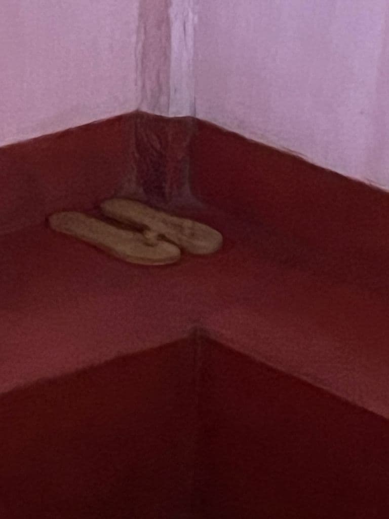 badaribadi_maha_maya_mandir_14.jpg