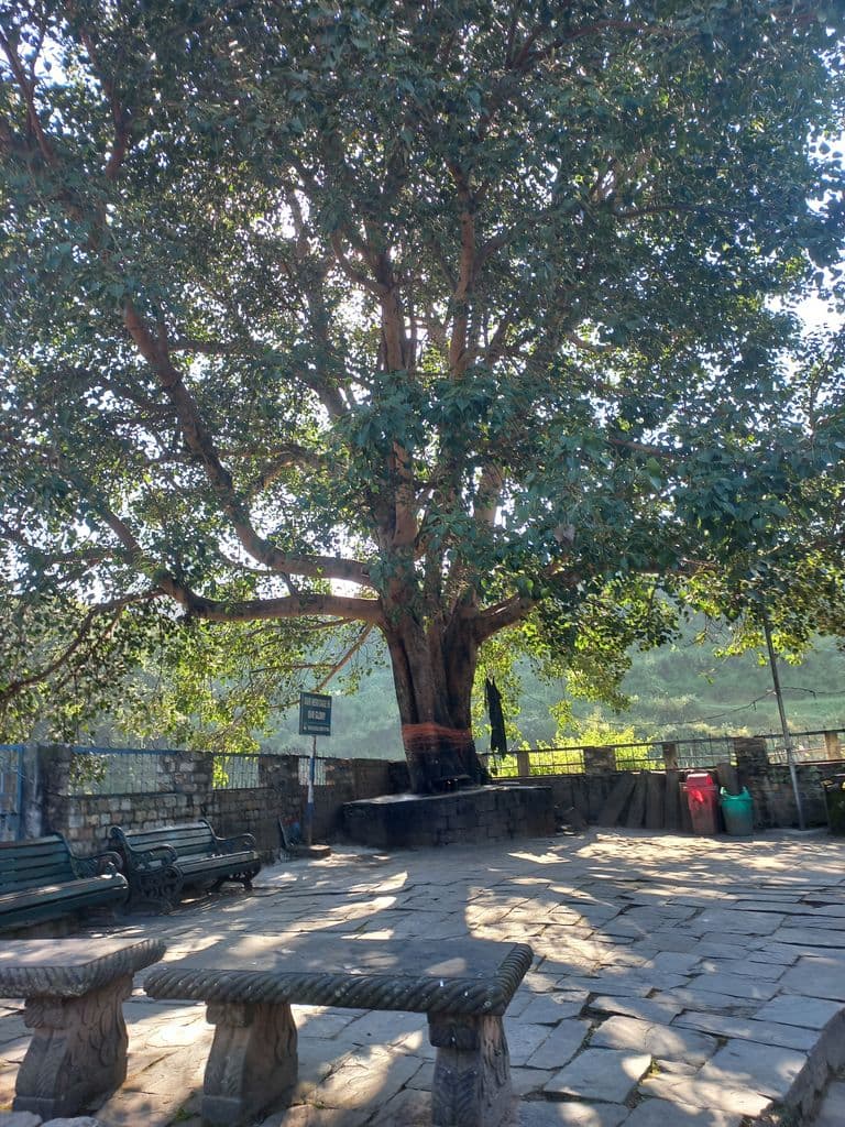 baijnath_baijnath_group_of_temples_23.jpg