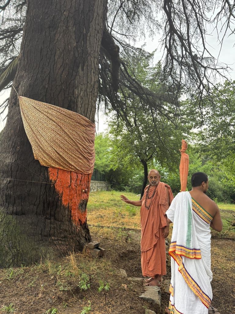 balhama_baladevi_mandir_9.jpg