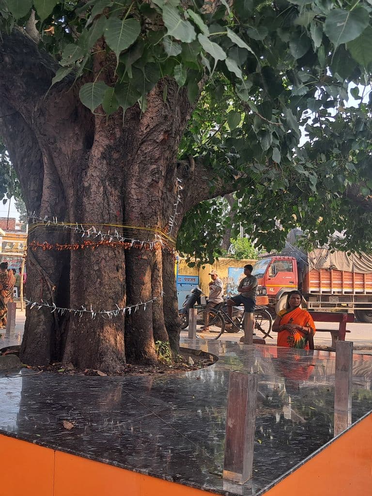 bareilly_nariyawal_wali_sheetala_mata_mandir_6.jpg
