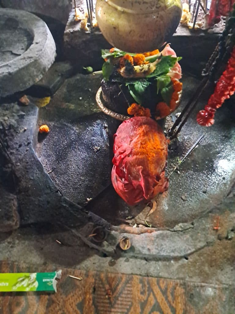 bhatiapara_surya_pahar_19.jpg