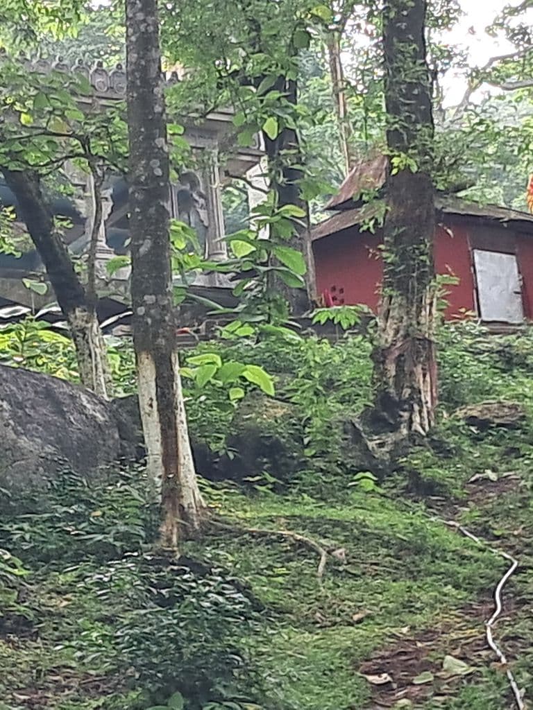 bhatiapara_surya_pahar_22.jpg