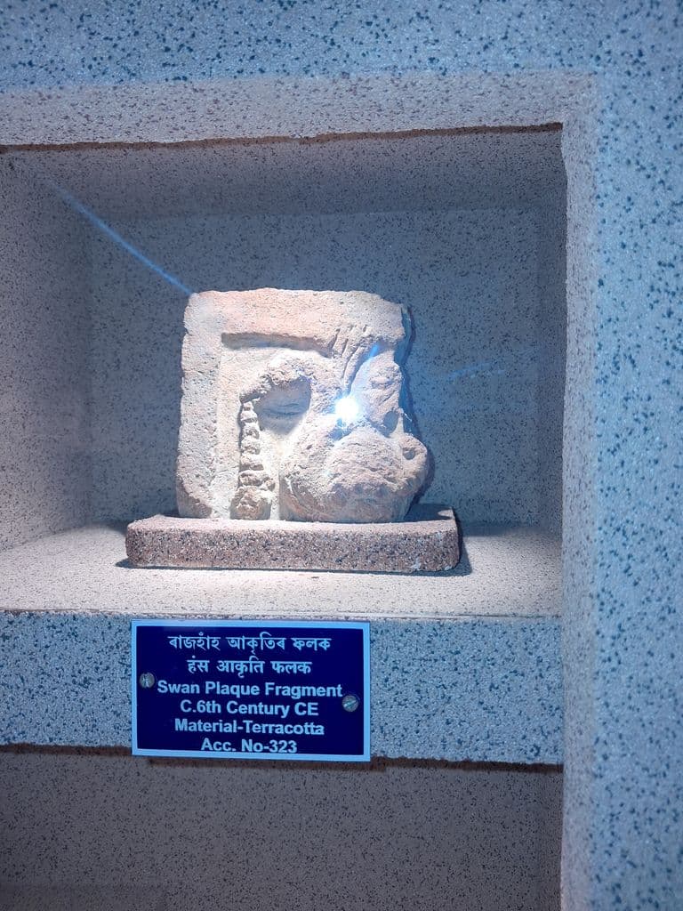 bhatiapara_surya_pahar_58.jpg