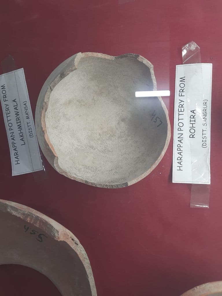 bhatinda_punjab_univ_museum_10.jpeg